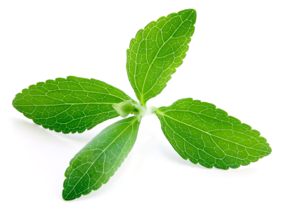 Stevia – the No Calorie Miracle Sweetener